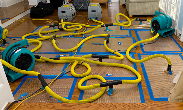 Professional Crawl Space Water Removal technician working in Adamsville, TN